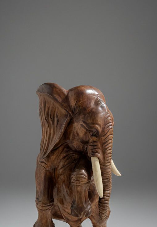 Elefante en Movimiento